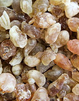 Frankincense.jpg