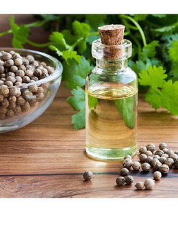 coriander oil.jpg