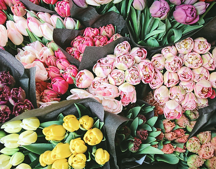 Flowers for Sale