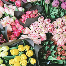 Flowers for Sale
