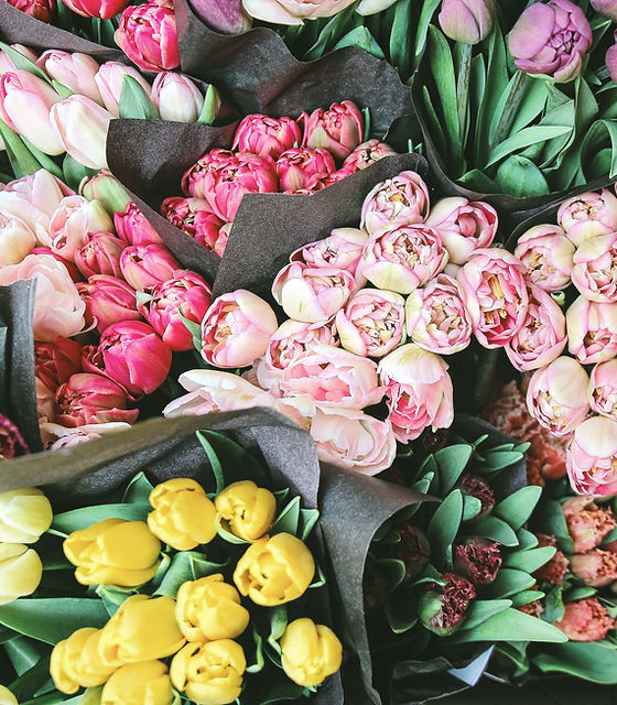 Flowers for Sale