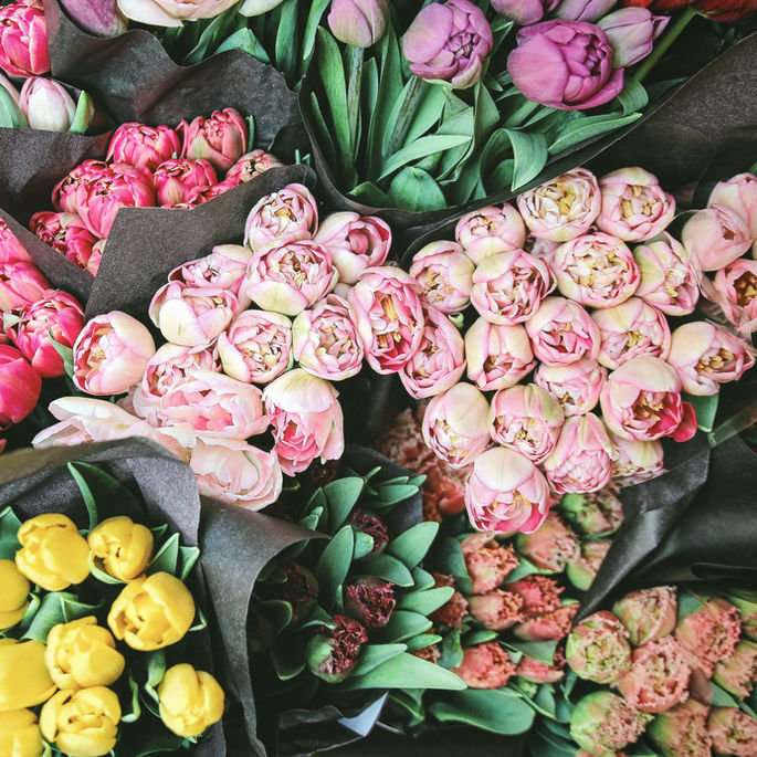Flowers for Sale