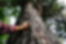 AdobeStock_387713245_wix.jpg