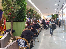 FB_IMG_1522893404173