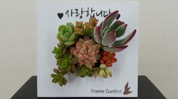 KakaoTalk_20220319_124803019_01