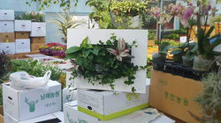 KakaoTalk_20220319_124924189_07 (1)