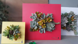 KakaoTalk_20220319_105741825_26