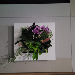 KakaoTalk_20220319_105741825