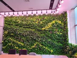 148197085_3880073735378783_2195266534219754054_n