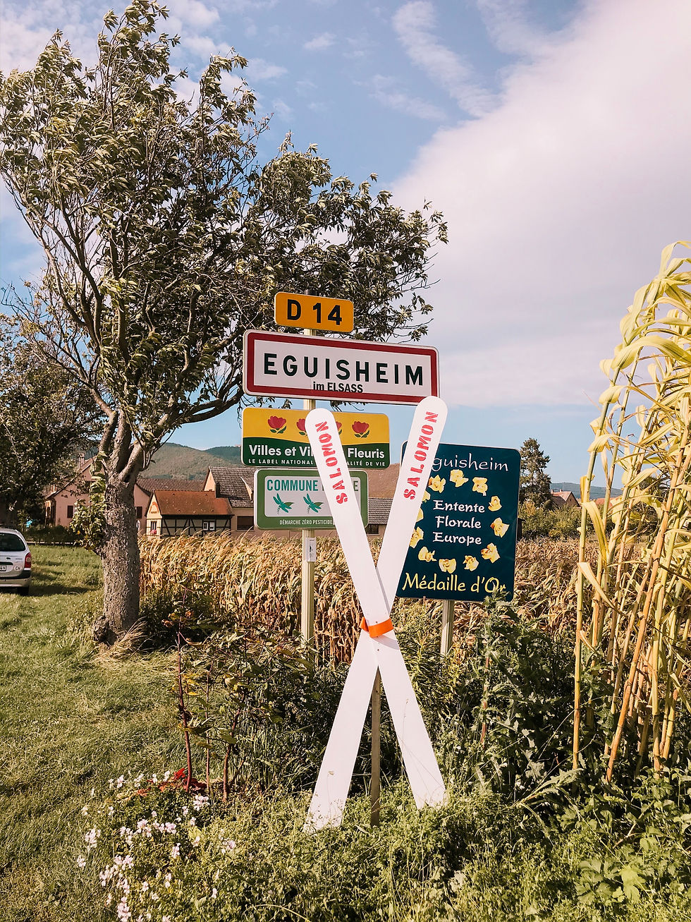 Signs for Eguisheim in a field in Eguisheim, the Alsace region of France
