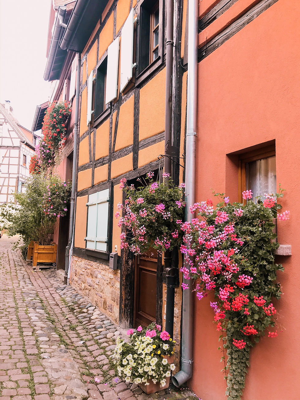 Flowers outside of colourful buildings in Eguisheim, the Alsace region of France