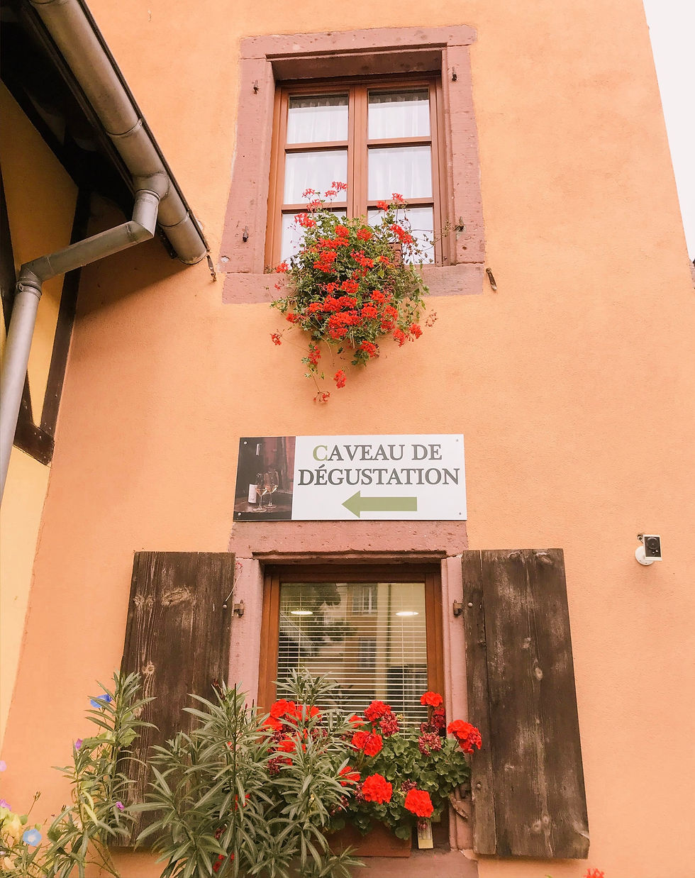 Winery with flowers in the windows in Colmar, the Alsace region of France