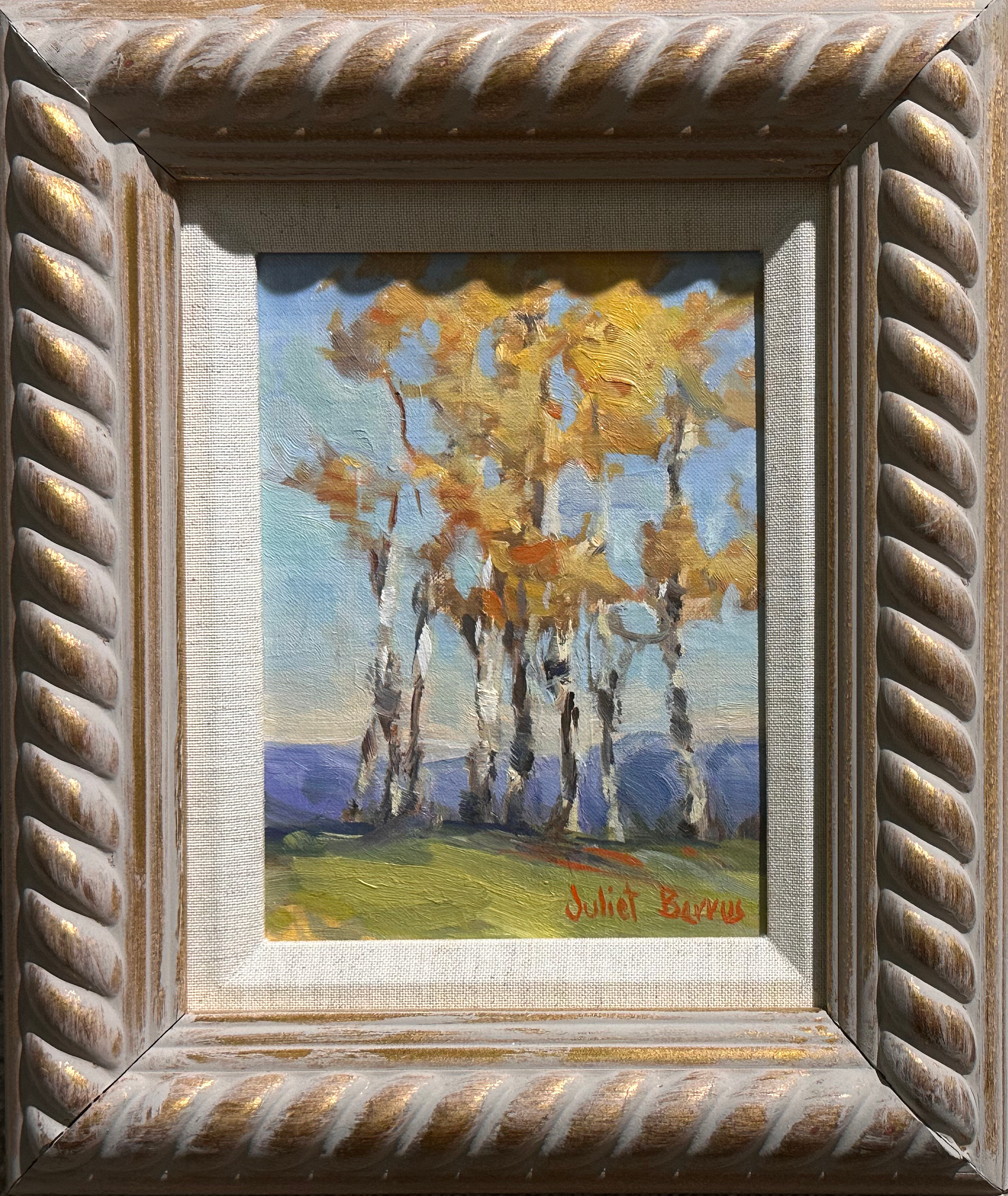 Barrus – Montana Cotton Wood