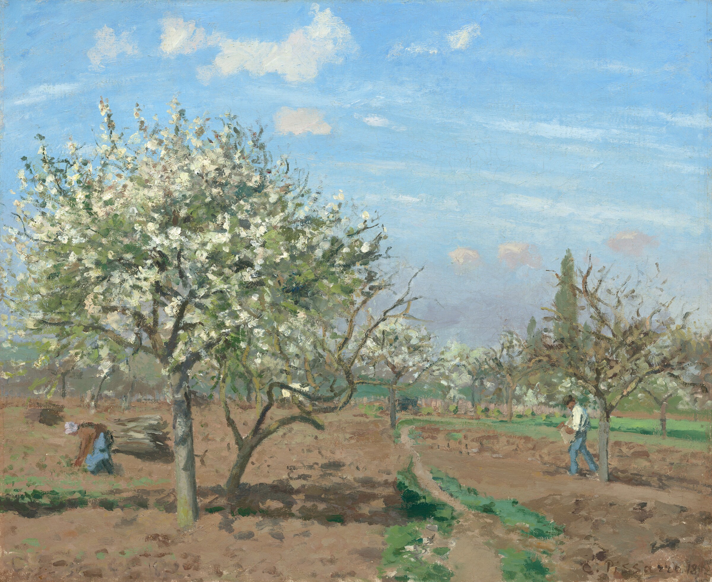 Orchard in Bloom, Louveciennes — Camille Pissarro