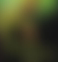 Sqwid Hood, Prince of Tees