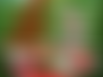 Monday Night Forking