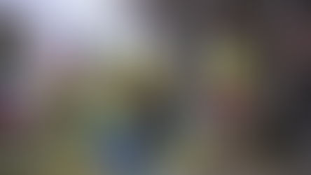 AVISO SE INICIA TEMPORADA DE PODAS DE ÁRBOLES