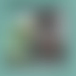 Vékony a határ a szerelem és a gyűlölet között - A becstelen - Könyvajánló