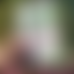 Nem minden hercegnő visel tiarát - L. J. Shen: Megtört hercegnő