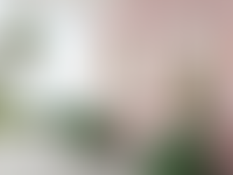 The Importance of Certification in the Beauty Industry