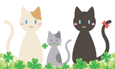 猫の遺伝子検査
