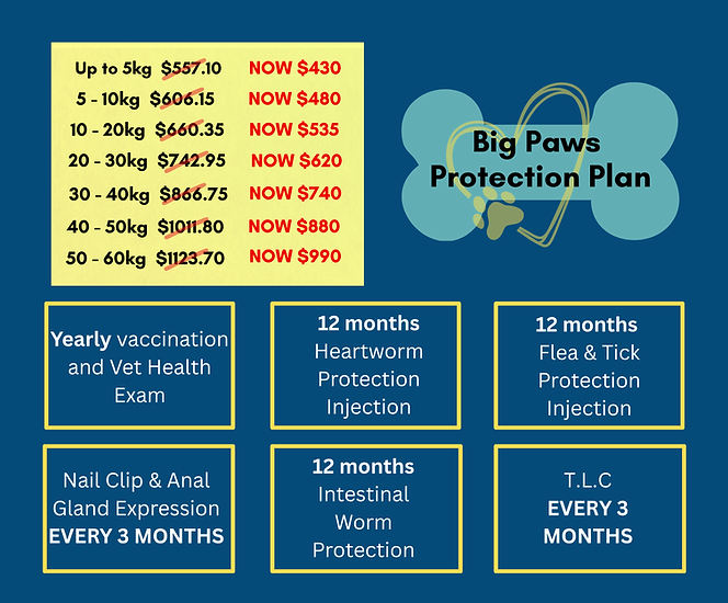 BPPP WEBSITE.png