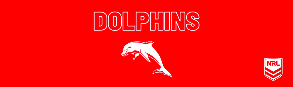 Dolphins Page Banner.png