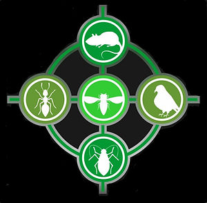 logo .jpg