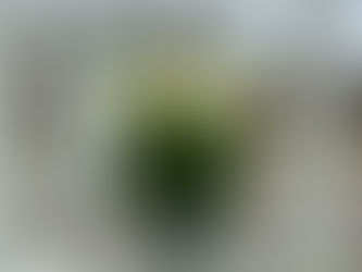 First anniversary reflections: Following your final journey