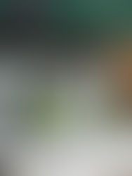 サマーイベント☆彡