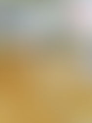 🎵KIDS BREAKIN'🎵