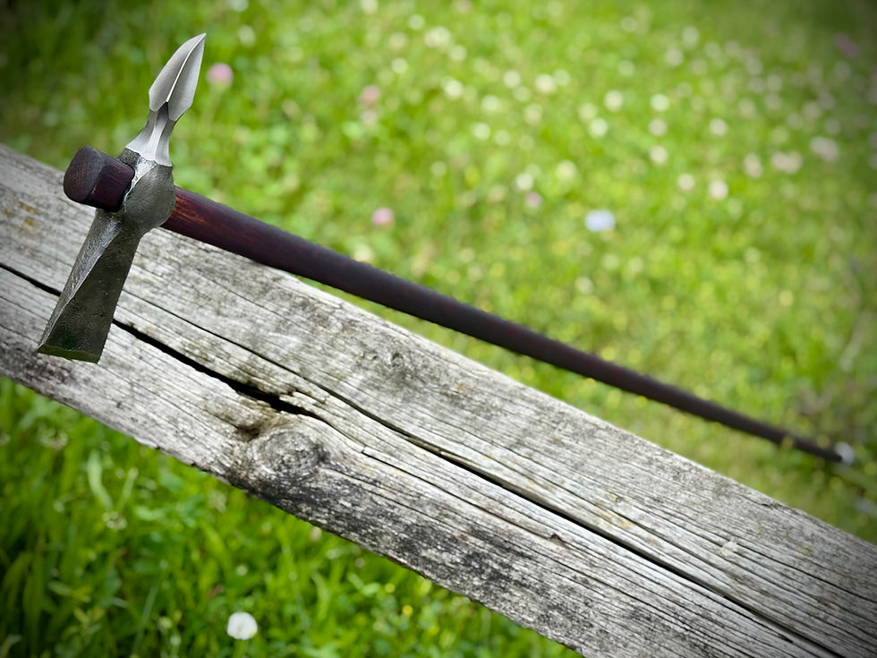 Thumbnail: Rare Shepherd's Poleaxe