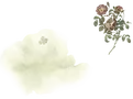 gallery-bg.webp