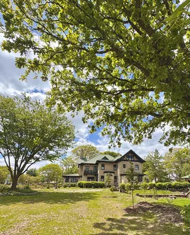 image 11.webp