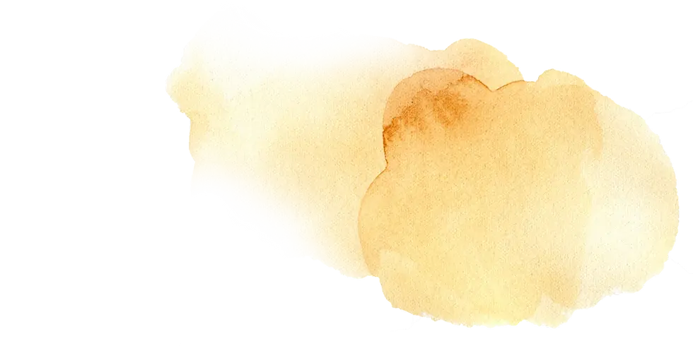 stain1-s1.webp