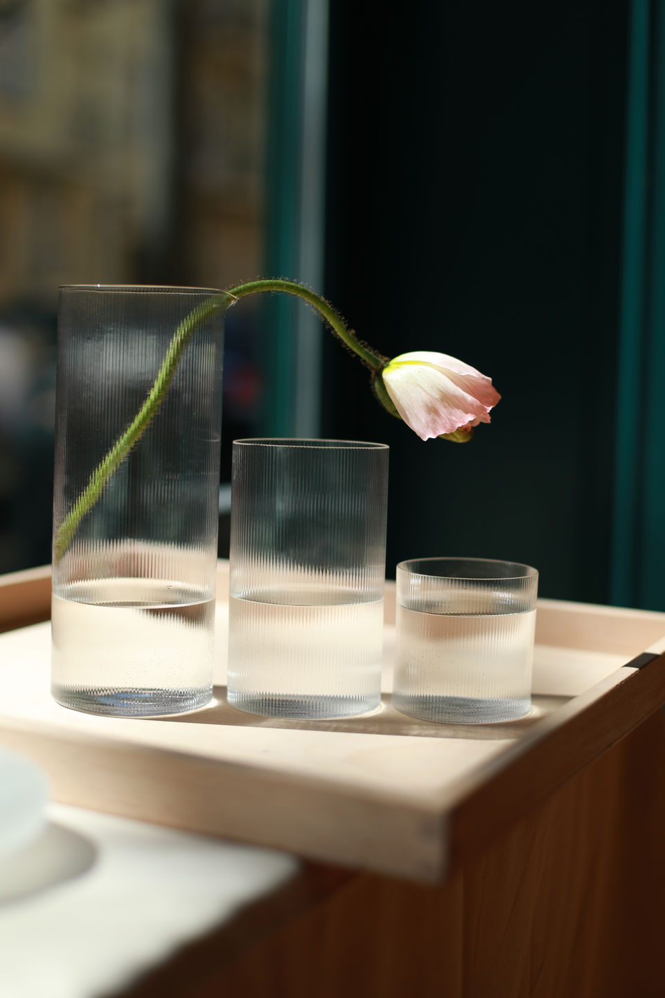 CIRCLE FAMILY -by STUDIO MILENA KLING 264.JPG