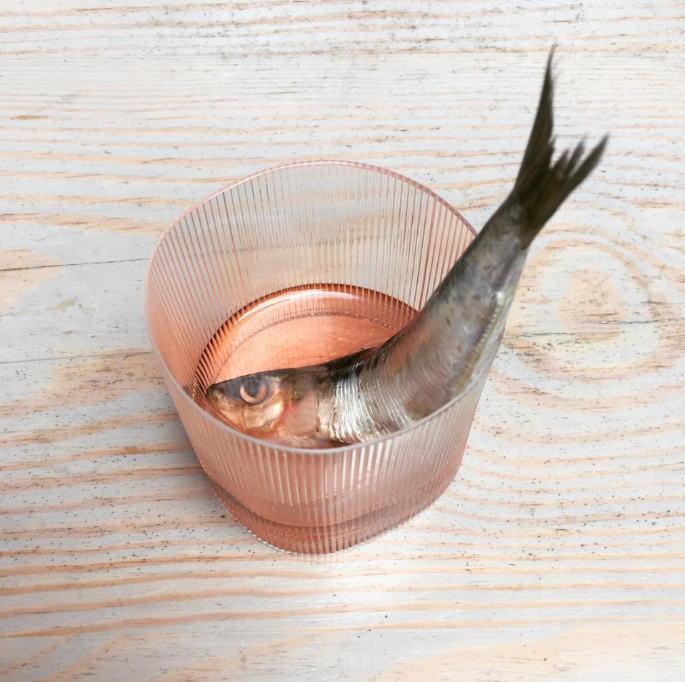 CIRCLE- LOK6- Julia Zierer.png