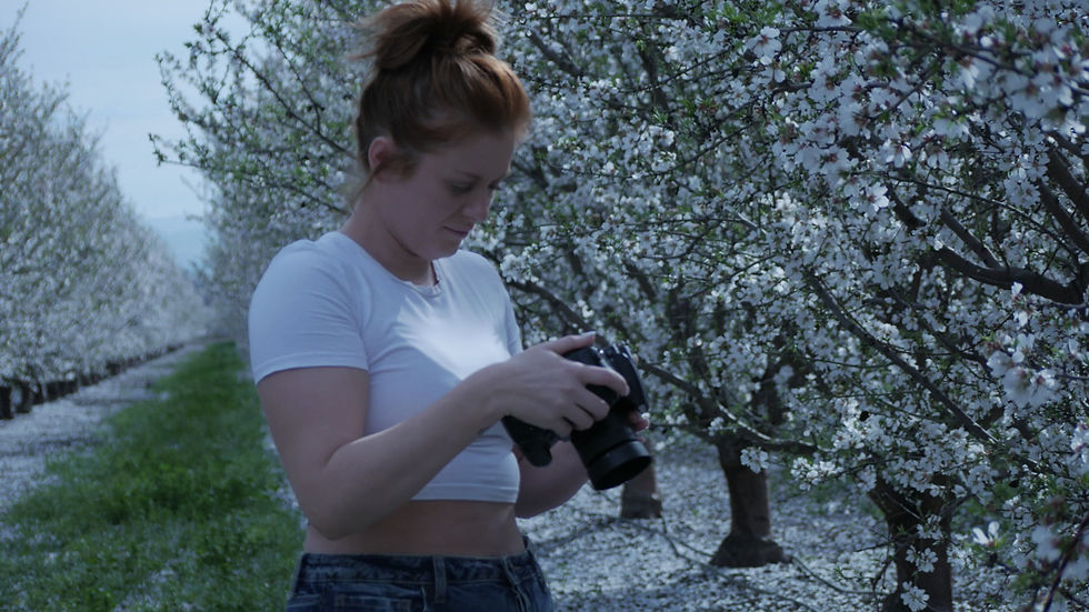 P1260293.MP4