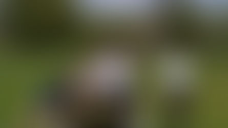 How I got here: my physical fitness journey