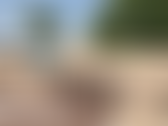 ഇന്ത്യ ഭാഷാക്ഷേത്രമോ ഭാഷാനാഗരികതയോ