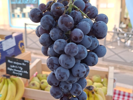 Fruits et légumes bio de saison en septembre : tomates, raisins, prunes, pommes, poires et courges