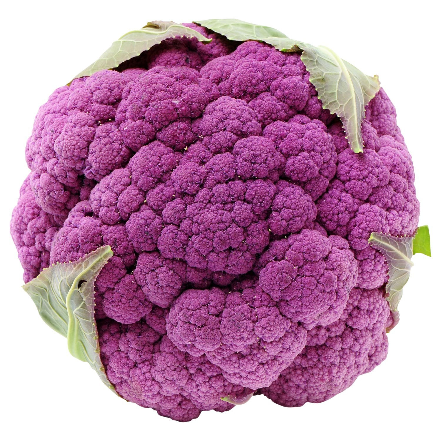 Chou fleur violet bio - 1 pièce