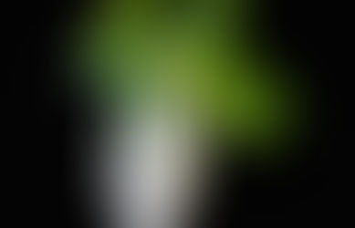 Salade de chou pak-choi et carotte