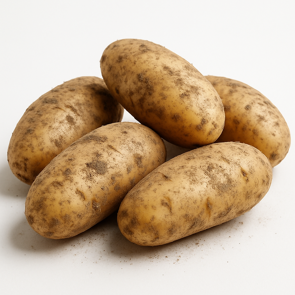 Pomme de terre Bio - Charlotte - 1 Kg