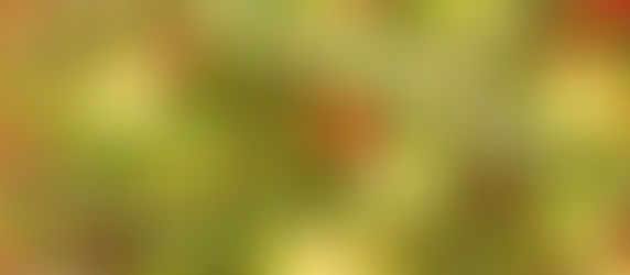 La recette de Sophie Cochet : Green pizza