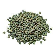 Lentille verte bio