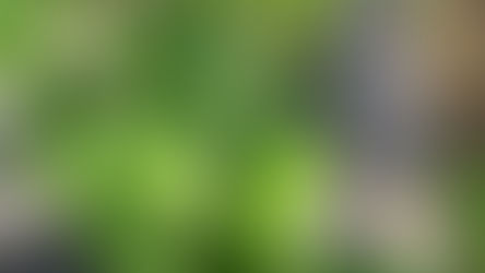 Périgny sur Yerres - Février 2023