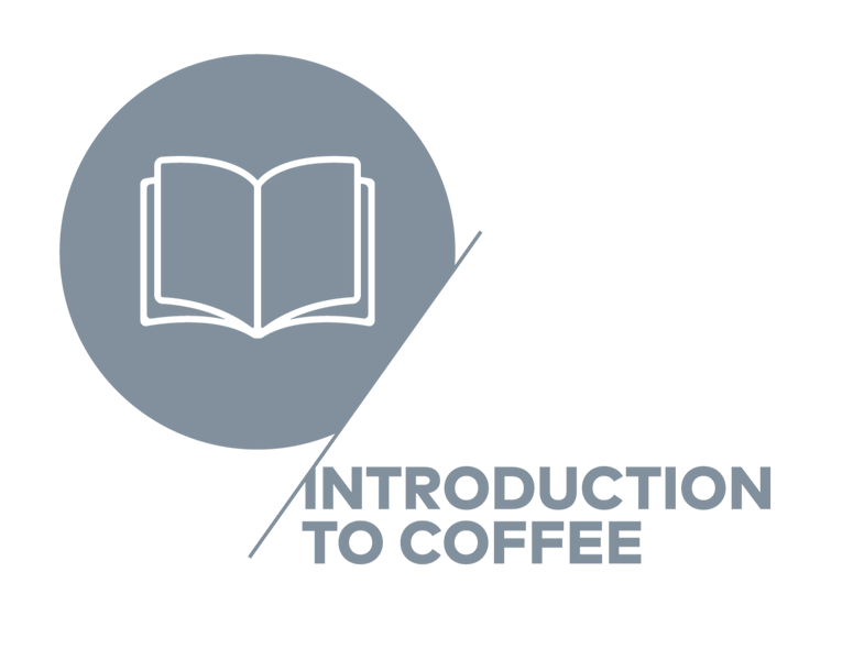 Specialty Coffee Association 
Coffee Skills Program
Introduction to Coffee