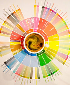 SPECIALTY COFFEE ASSOCIATION SENSORY SKILLS