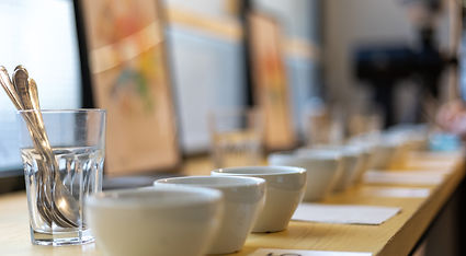 SPECIALTY COFFEE ASSOCIATION SENSORY SKILLS